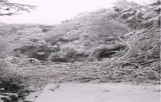 戰(zhàn)暴雪、保供電！湖南發(fā)展鳥(niǎo)兒巢公司應(yīng)對(duì)極端天氣緊急搶修失電故障